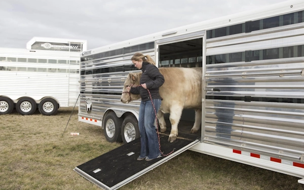  Whether you have three animals or nine